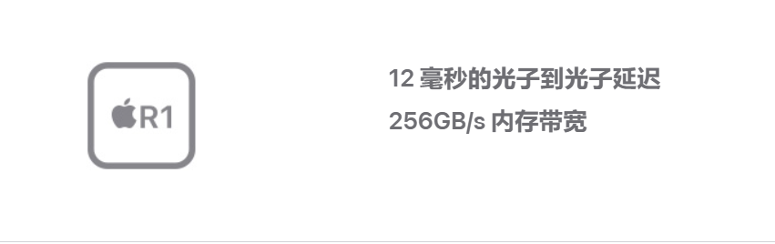 vision pro 规格参数里面R1芯片光子到光子延迟是神马