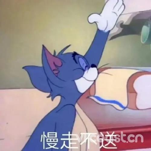 圈圈是只猫的头像